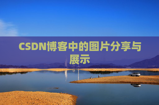 CSDN博客中的图片分享与展示